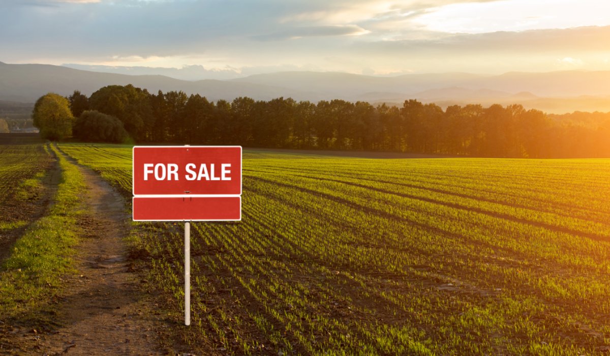 Buy Land