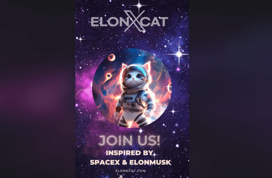 elonxcat