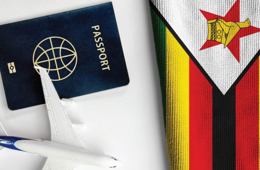 Indian Visa for Zimbabwean & Brazilian Citizens – How to Apply