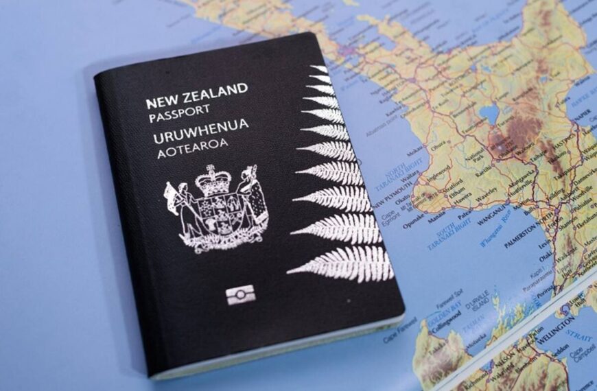 New Zealand Visa Status Check & Eligibility Tool