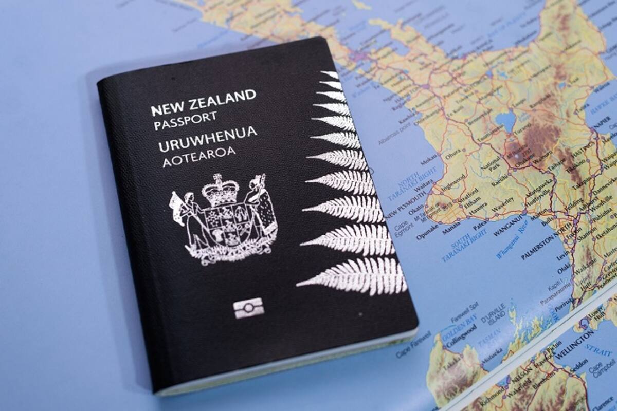 New Zealand Visa Status Check & Eligibility Tool