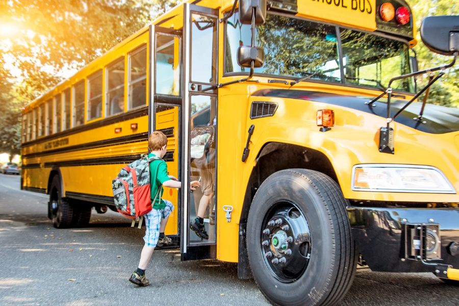 bus hire for schools