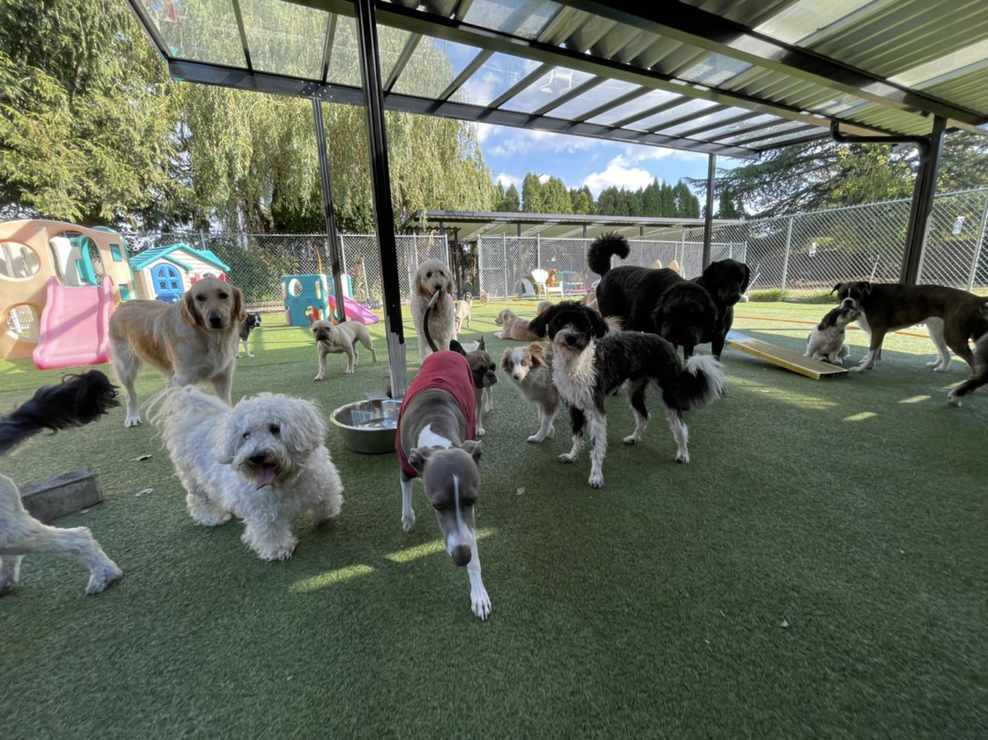 Pet Care Centre