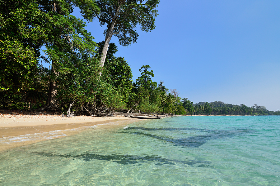 Baratang Island