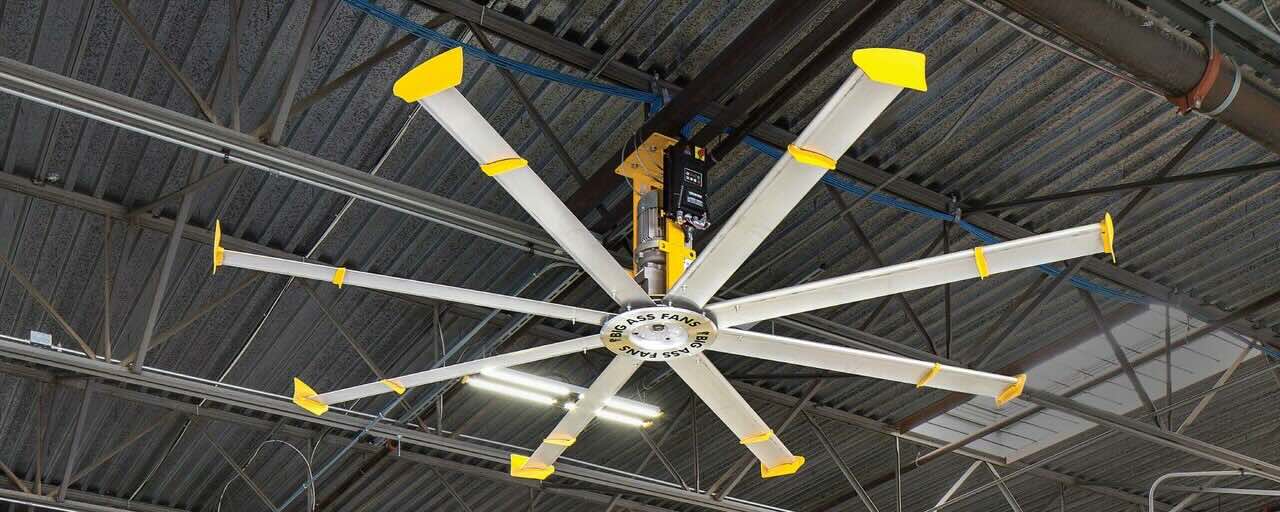 Big Fans