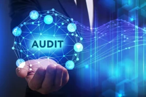 How Singapore Audit Services Help Identify Financial Risks