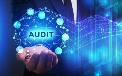 How Singapore Audit Services Help Identify Financial Risks