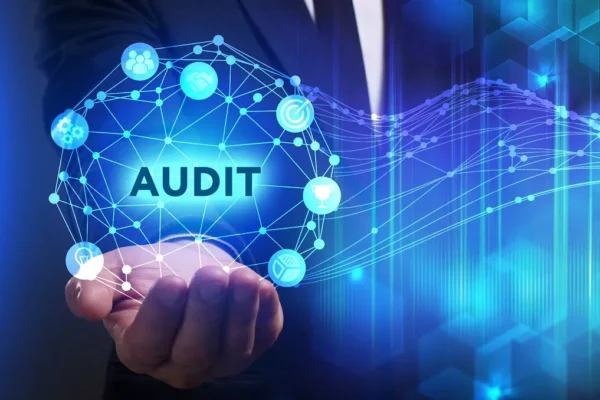 How Singapore Audit Services Help Identify Financial Risks
