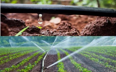 The Benefits of Purchasing Drip Irrigation Supplies in Bulk