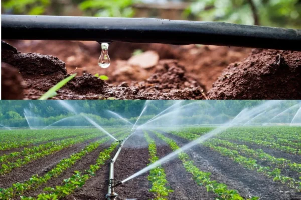 The Benefits of Purchasing Drip Irrigation Supplies in Bulk