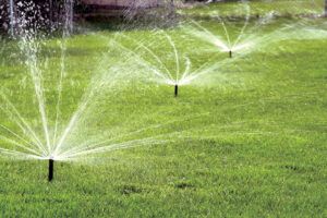 What to Consider When Sourcing Sprinklers from a Manufacturer