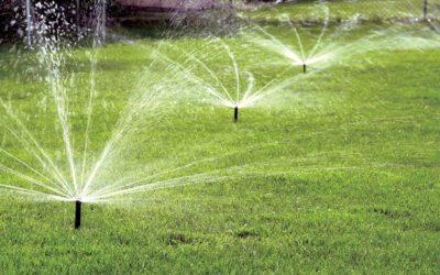 What to Consider When Sourcing Sprinklers from a Manufacturer