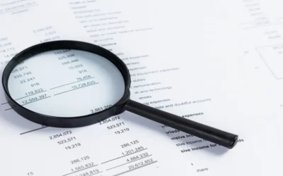 How Singapore Audit Services Use Data Analysis to Examine Financial Records