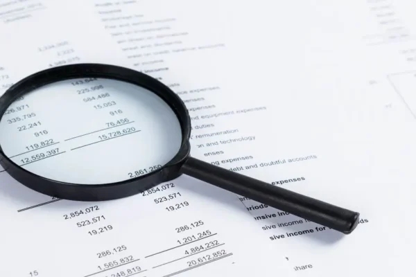 How Singapore Audit Services Use Data Analysis to Examine Financial Records
