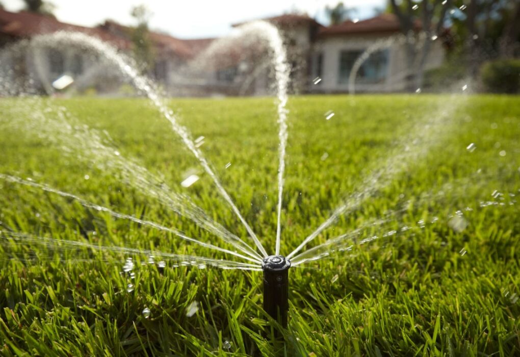 irrigation pipe